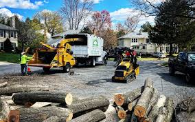 Best Tree and Shrub Care  in Heflin, AL